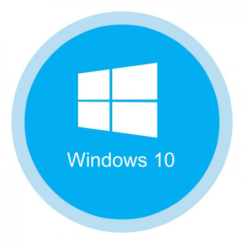 Microsoft Windows 10 Pro for OEM Software